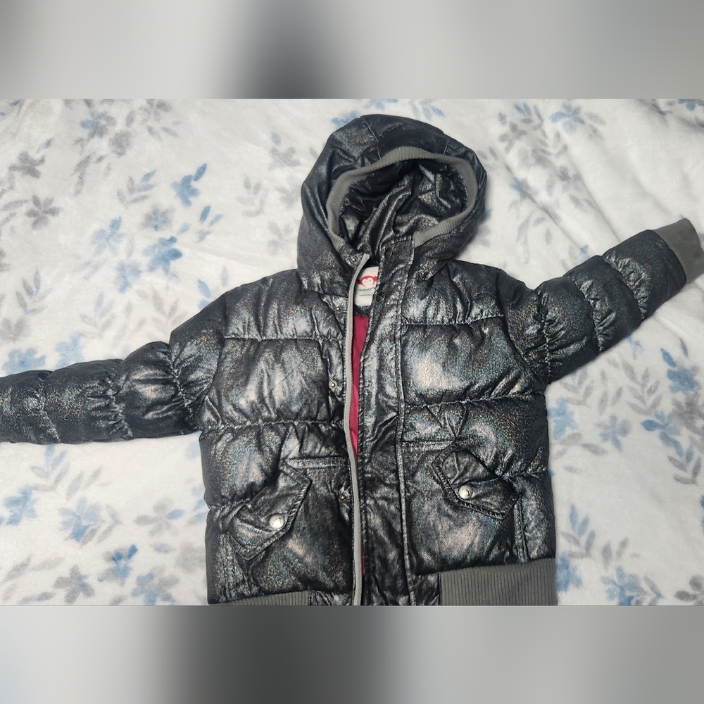 Appaman Girls' Winter Jacket 4T
